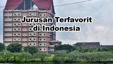 Jurusan Terfavorit di Indonesia