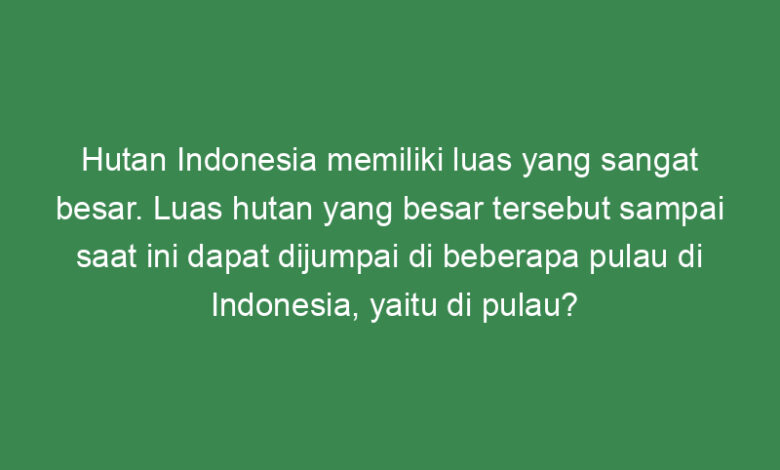 hutan indonesia memiliki luas yang sangat besar luas hutan yang besar tersebut sampai saat ini dapat dijumpai di beberapa pulau di indonesia yaitu di pulau