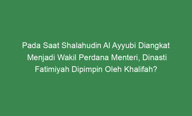 pada saat shalahudin al ayyubi diangkat menjadi wakil perdana menteri dinasti fatimiyah dipimpin oleh khalifah
